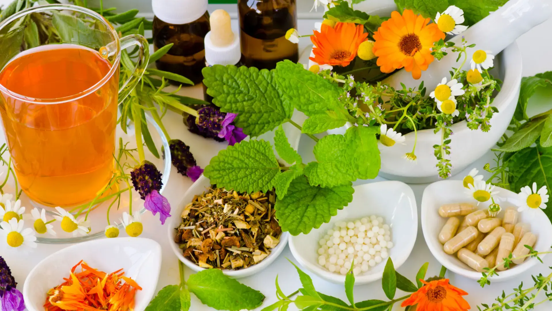 Terapias Naturales y Homeopatia